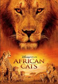 African Cats - Il regno del coraggio