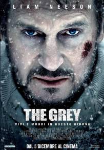 The Grey