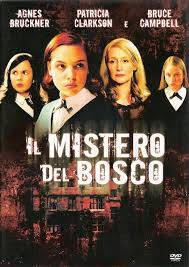 Il mistero del bosco