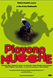 Piovono Mucche