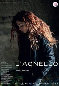 L'agnello