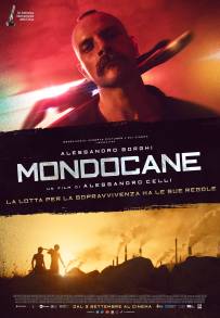 Mondocane