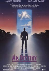 Mr. Destiny