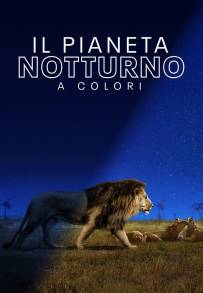 Il pianeta notturno a colori