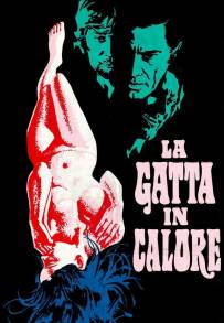 La gatta in calore